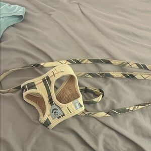 Plaid Dog Harness and Leash Set